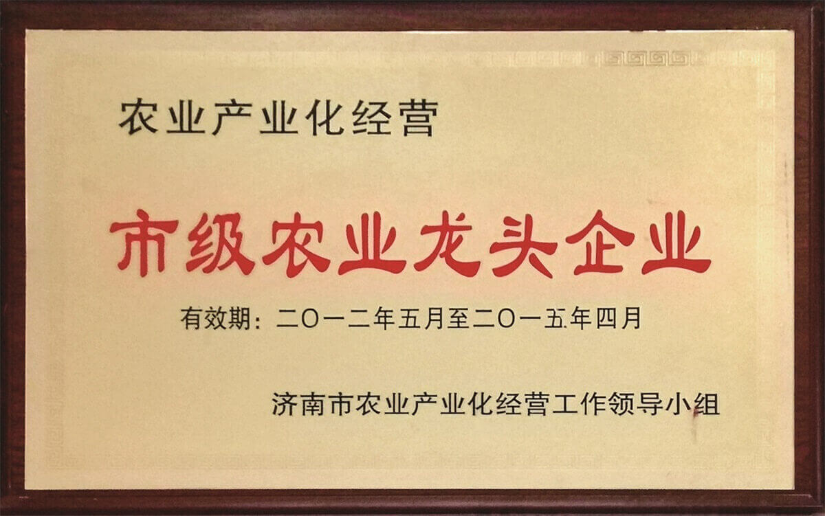 市級農(nóng)業(yè)龍頭企業(yè)