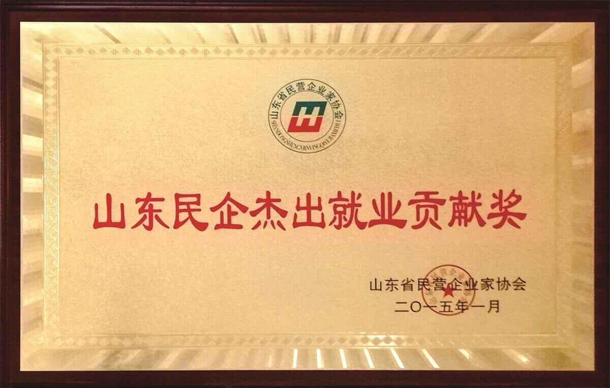 山東民企杰出就業(yè)貢獻(xiàn)獎